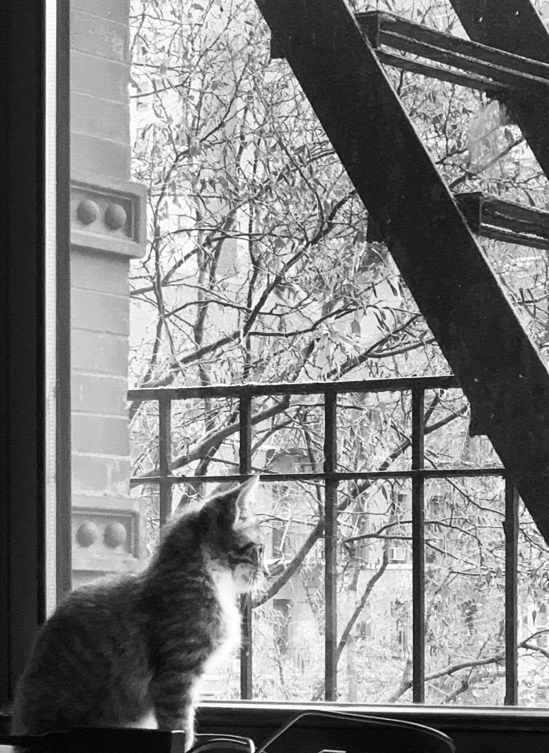 Franklin looks outside a window that has a fire escape